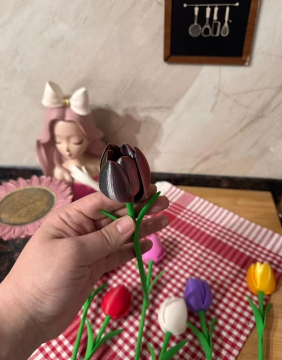 Km Group Lale Gül Baskı Renkli Plastik Adet