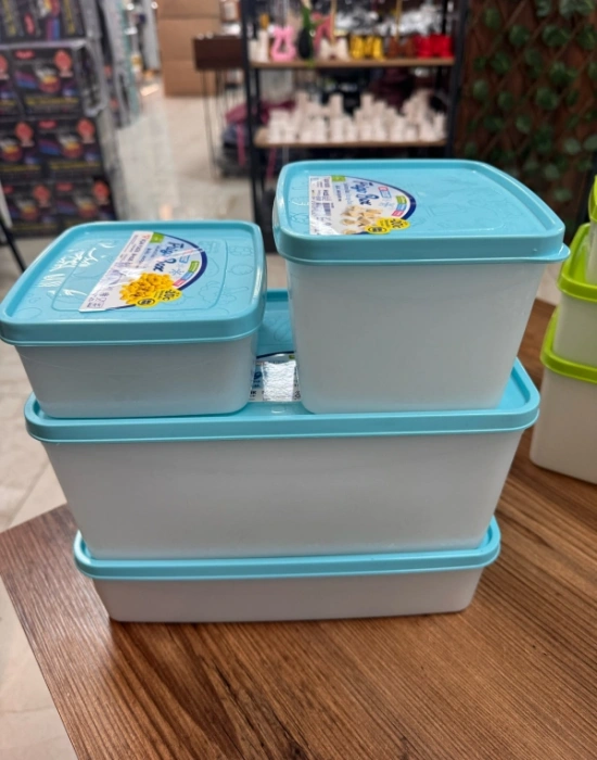 FR GO 3,5 L Derin Dondurucu Saklama Kabı Buzluk Kabı No Frost 26,5 X 15.5 X 11.5 CM