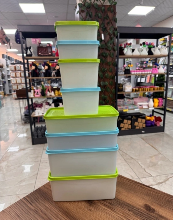 FR GO 2 L Derin Dondurucu Saklama Kabı Buzluk Kabı No Frost 26,5 X 15.5 X 7 CM