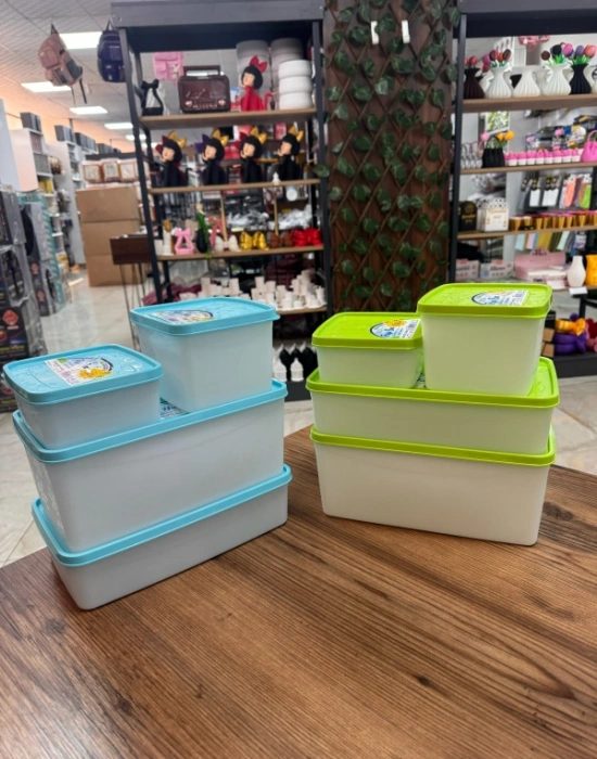 FR GO 1.1 L Derin Dondurucu Saklama Kabı Buzluk Kabı No Frost 14 X 12.5 X 10CM