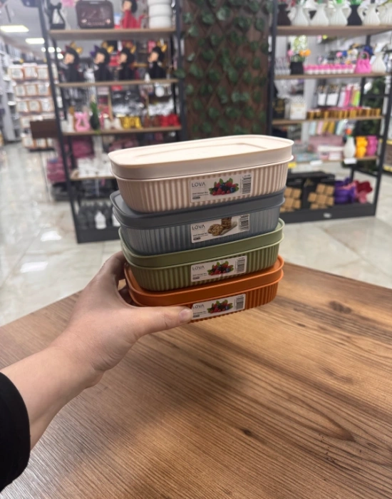 LV. SHELL RENKLİ 600 ML Saklama Kabı Adet