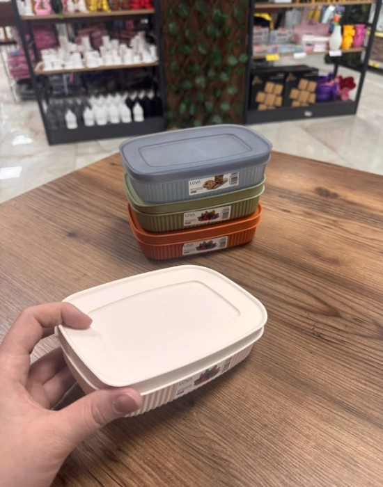 LV. SHELL RENKLİ 600 ML Saklama Kabı Adet