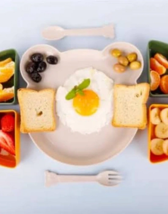 LV. YOGİ Erkek 4 Bölmeli Mama Seti 7 Parça LV 113