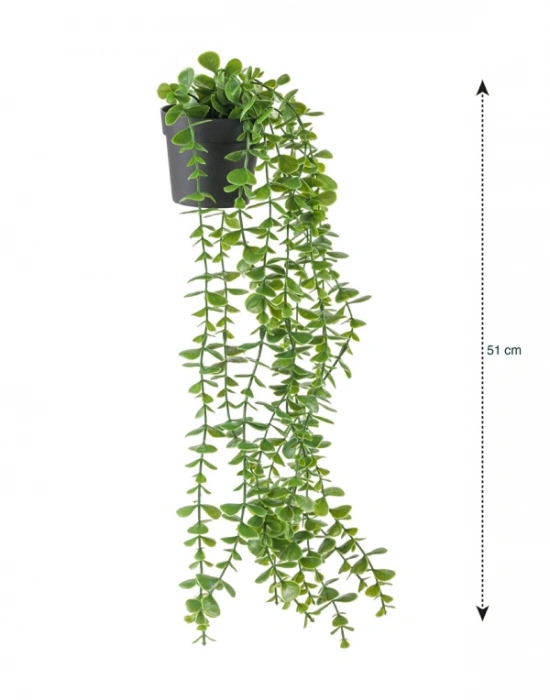 A. Yapay Sarkıt Okaliptüs Çiçek 50cm Uzunluk Saksı 9cm Taşlı