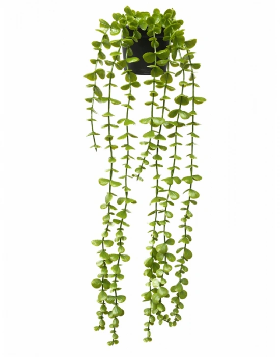 A. Yapay Sarkıt Okaliptüs Çiçek 50cm Uzunluk Saksı 9cm Taşlı