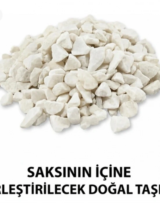 A. Yapay Sarkıt Okaliptüs Çiçek 50cm Uzunluk Saksı 9cm Taşlı