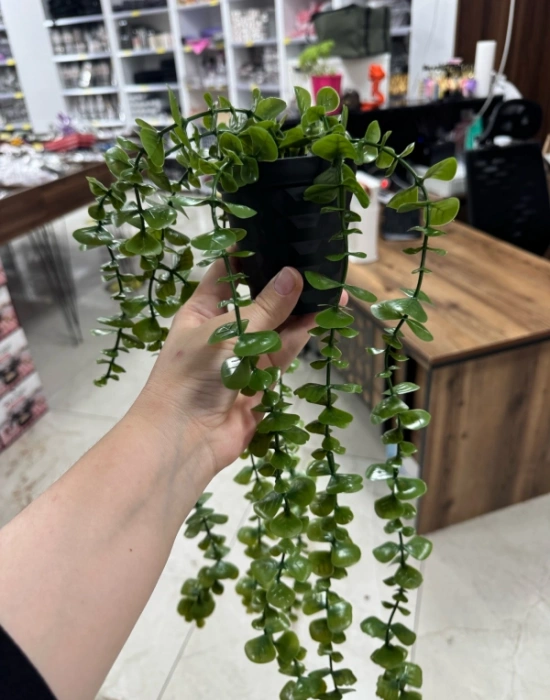 A. Yapay Sarkıt Okaliptüs Çiçek 50cm Uzunluk Saksı 9cm Taşlı