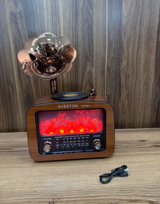Everton Radyo Büyük Gramafonlu Şömine Görünümlü Şarjlı Nostaljik Radio RT-651