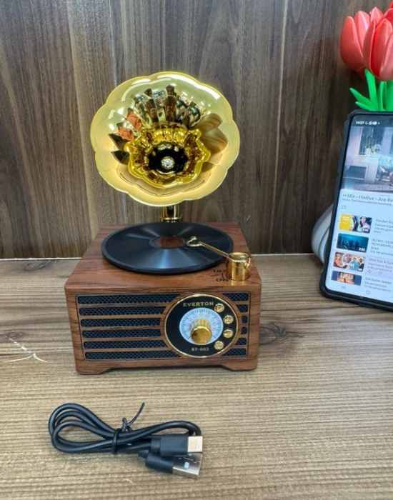 Everton Radyo Gramafon Görünümlü Şarjlı Nostaljik Radio RT-603