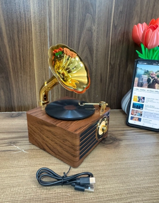 Everton Radyo Gramafon Görünümlü Şarjlı Nostaljik Radio RT-603