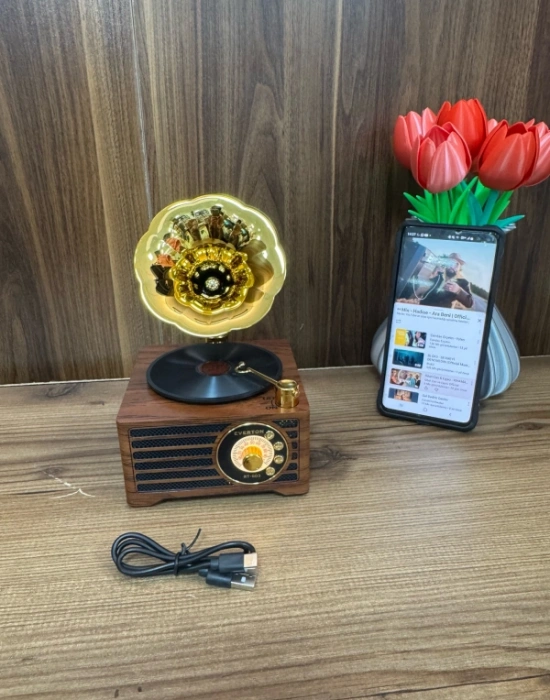 Everton Radyo Gramafon Görünümlü Şarjlı Nostaljik Radio RT-603