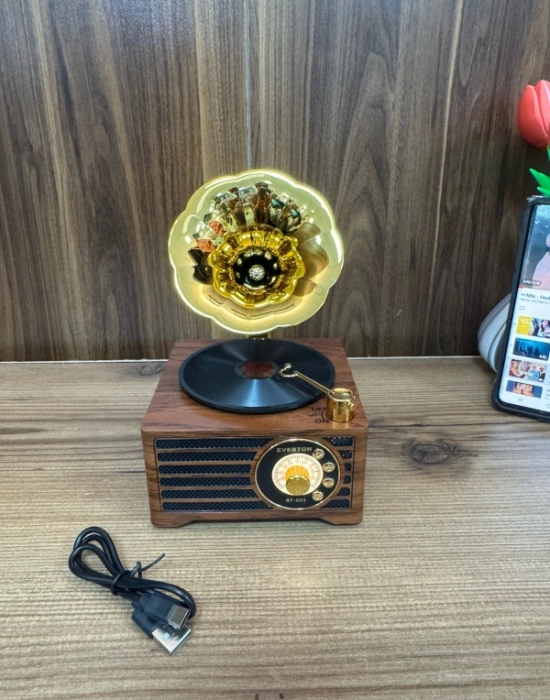 Everton Radyo Gramafon Görünümlü Şarjlı Nostaljik Radio RT-603