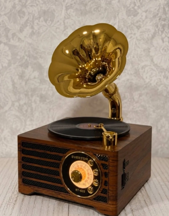 Everton Radyo Gramafon Görünümlü Şarjlı Nostaljik Radio RT-603
