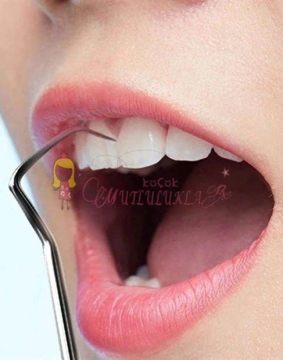 7 Parça Paslanmaz Çelik Ağız Diş Tartar Sökücü Temizlik Bakım Seti