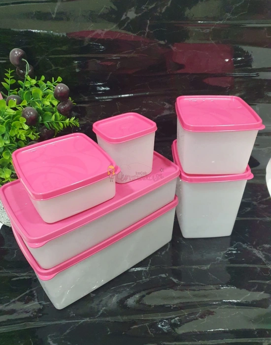 Alaska 6lı No Frost Saklama Kabı