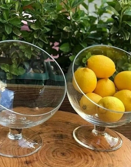 AYAKLI MİGNON SUNUM KASE