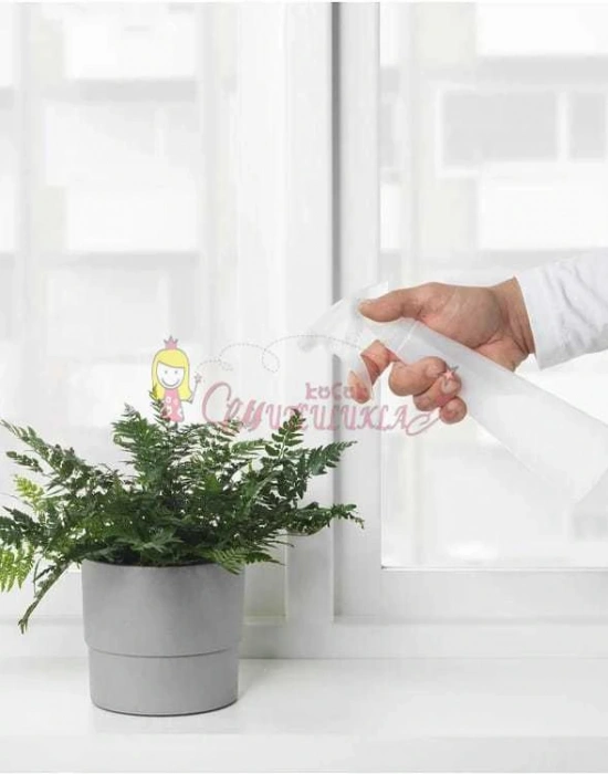 Bitki Bakim Sprey Şi̇şesi̇