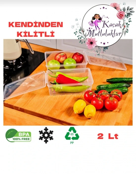 Buzdolabi Saklama kabi dikdortgen ( 10 adet ) 2 Lt