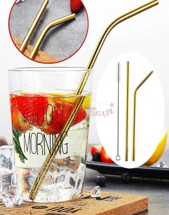 Çelik 2li Pipet Ve Temizleme Fırçası Gold gumus