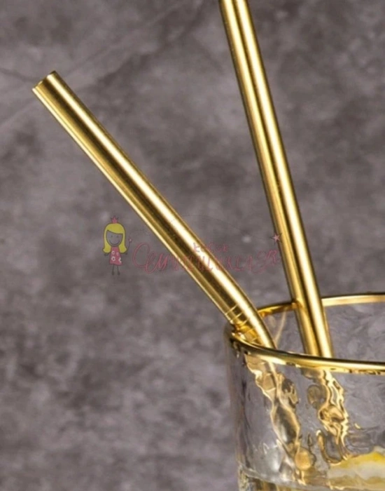 Çelik 2li Pipet Ve Temizleme Fırçası Gold gumus