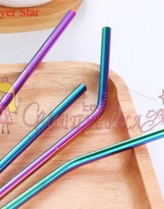 Çelik 2li Pipet Ve Temizleme Fırçası Rainbow