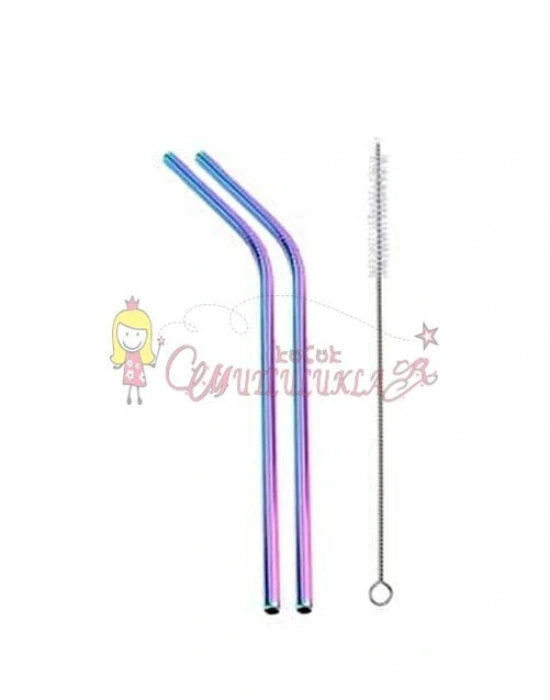 Çelik 2li Pipet Ve Temizleme Fırçası Rainbow