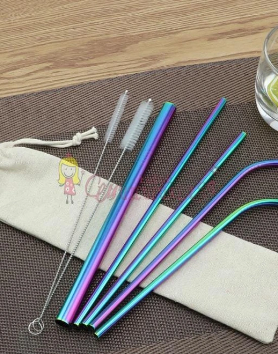 Çelik 2li Pipet Ve Temizleme Fırçası Rainbow