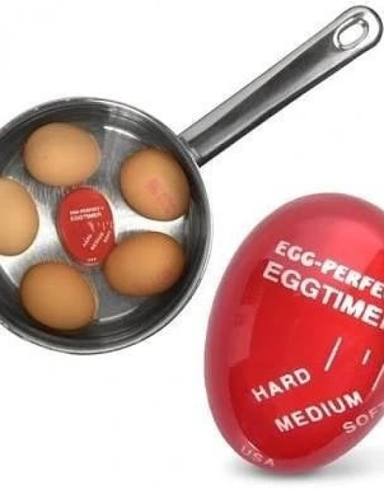 DUBLÖR YUMURTA ZAMANLAYICI