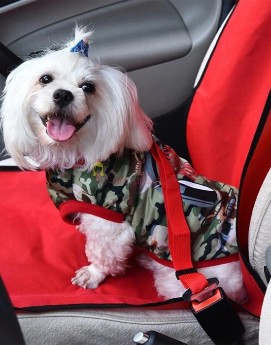 Emniyet Kemerine Takılabilen Kedi ve Köpek Emniyet Kemeri