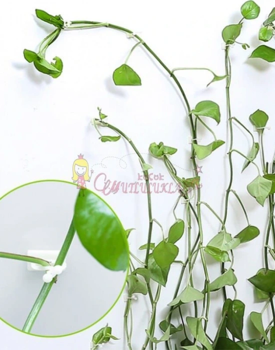 Ev Ofis Düzenleyici Klips (Çok Amaçlı )