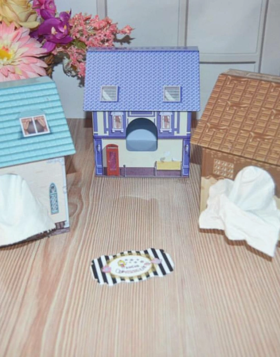 EV ŞEKLİNDE PEÇETELİK