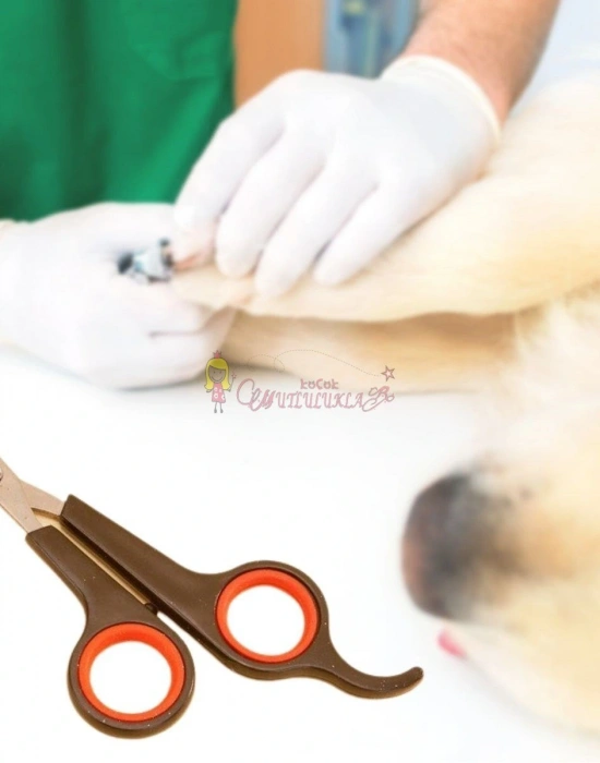 Küçük Çelik Uçlu Kedi Köpek Evcil Hayvan Tırnak Makası Pati Bakım Aleti Ergonomik Kaymaz Sap