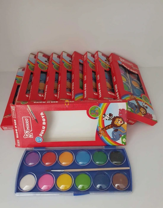 Mikro Sulu Boya Fırçalı 12li