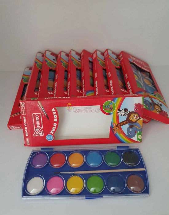 Mikro Sulu Boya Fırçalı 12li