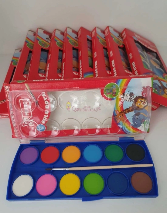 Mikro Sulu Boya Fırçalı 12li