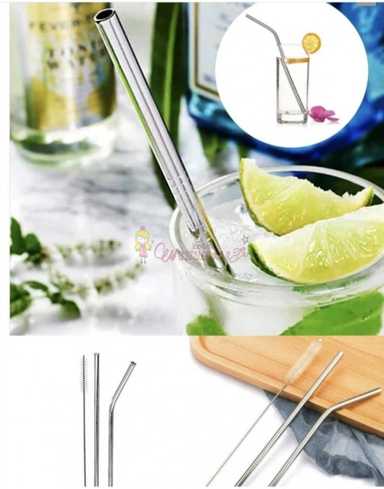 Paslanmaz Çelik Metal Pipet ve Temizleme Fırçası