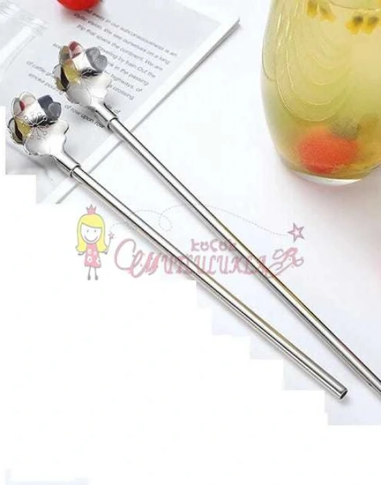 Paslanmaz Metal 2 li Kaşıklı Pipet Fırça Seti