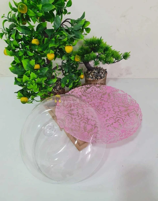 PASTA KEK FANUSU CAM 28 CM