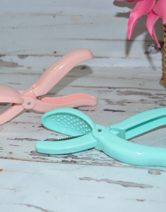 RENKLİ KESTANE ÇİZİCİ