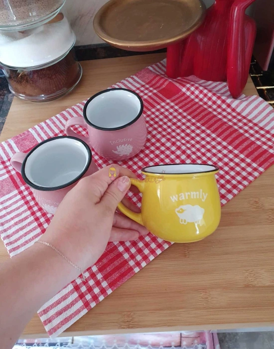 Renkli Porselen Kupa