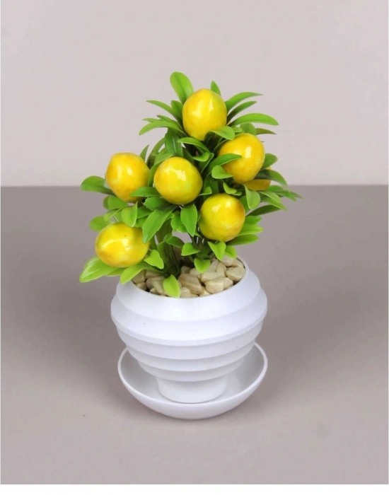 SAKSILI LİMON AGACI