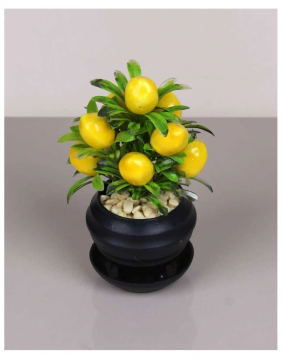 SAKSILI LİMON AGACI