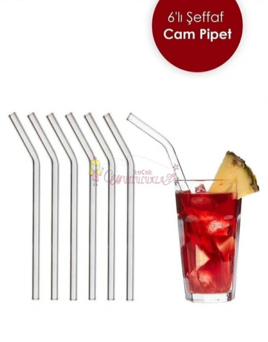 Şeffaf 6lı Cam Eğimli Pipet