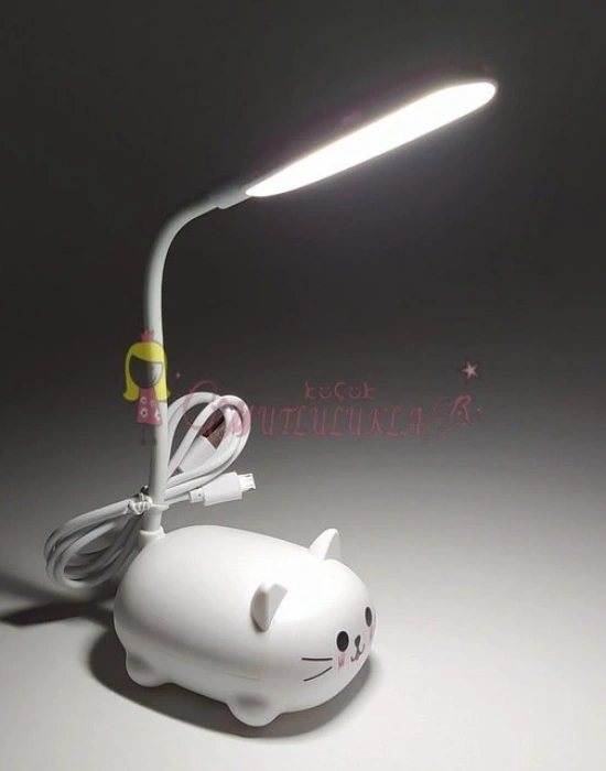 Sevimli Kalemlikli Şarjli Masa Ledi