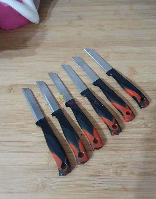 Solingen Meyve Sebze Bıçağı renkli