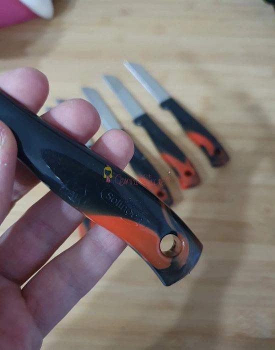 Solingen Meyve Sebze Bıçağı renkli