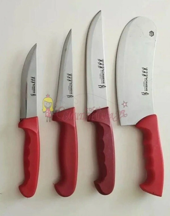 SÜRMENE BIÇAK SETI