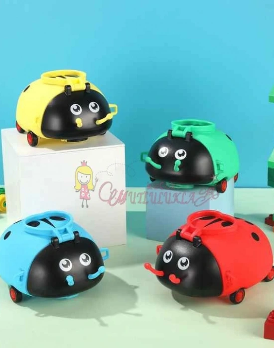 Uğur Böceği Su Matarası