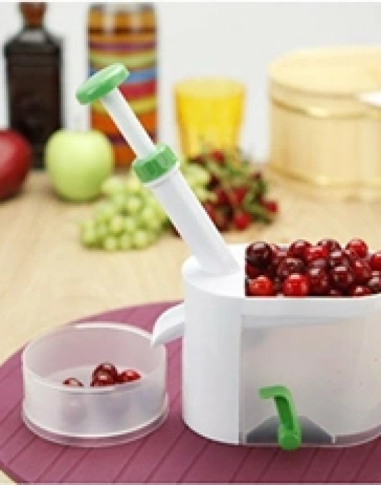 VİŞNEMATİK VİŞNE ÇEKİRDEĞİ ÇIKARMA MAKİNESİ