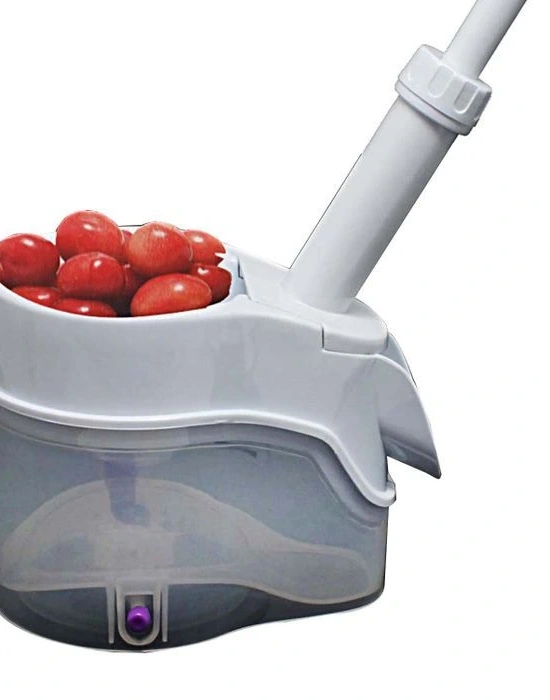 VİŞNEMATİK VİŞNE ÇEKİRDEĞİ ÇIKARMA MAKİNESİ